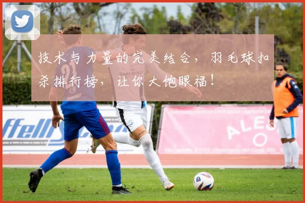 技术与力量的完美结合，羽毛球扣杀排行榜，让你大饱眼福！