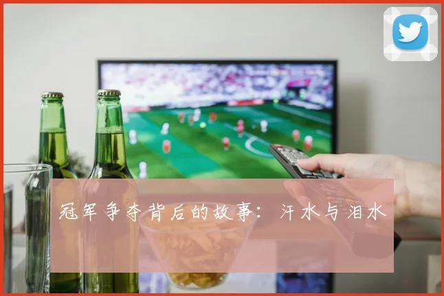 冠军争夺背后的故事：汗水与泪水