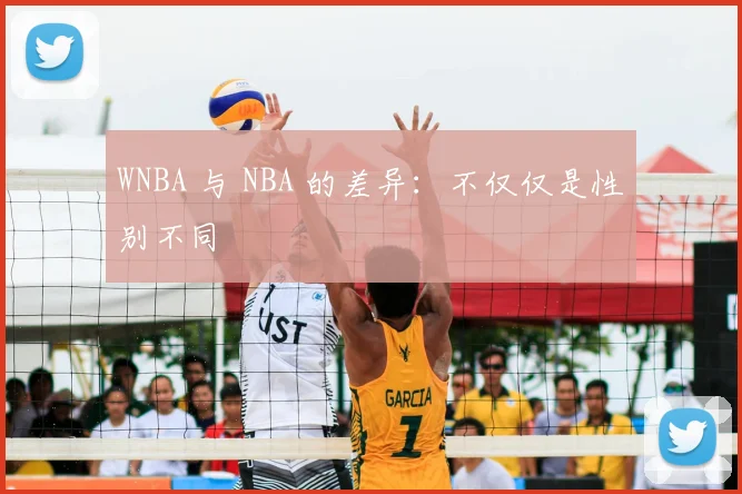 WNBA 与 NBA 的差异:不仅仅是性别不同