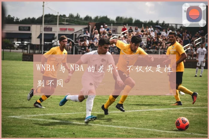 WNBA 与 NBA 的差异:不仅仅是性别不同