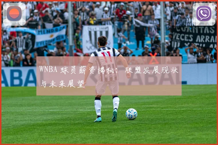 WNBA 球员薪资揭秘:联盟发展现状与未来展望