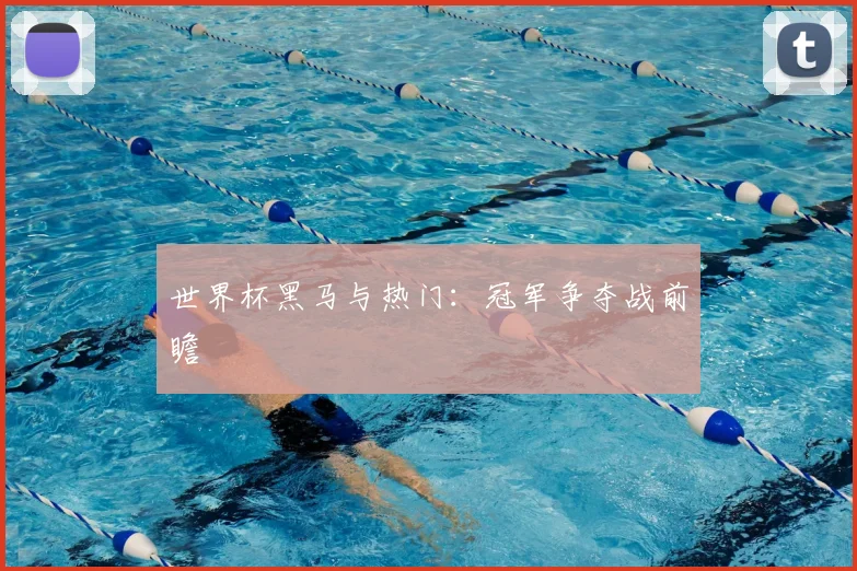 世界杯黑马与热门:冠军争夺战前瞻