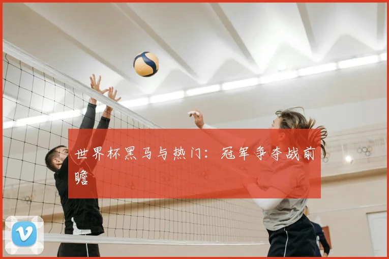 世界杯黑马与热门：冠军争夺战前瞻
