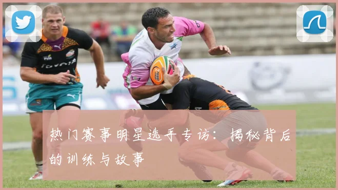 热门赛事明星选手专访:揭秘背后的训练与故事